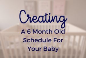 6 Month Old Schedule
