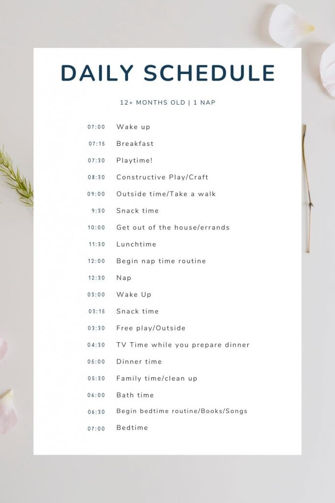 daily schedule for toddlers 1 nap